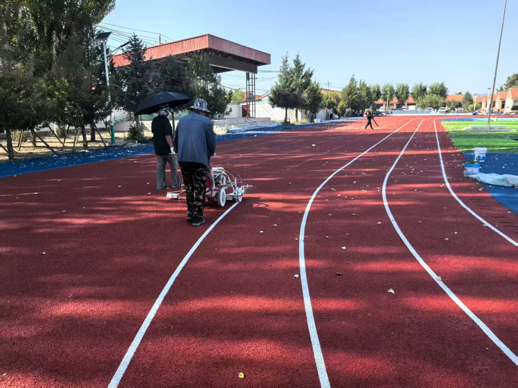 葫芦岛市EPDM塑胶跑道全塑型塑胶跑道 - 厂家